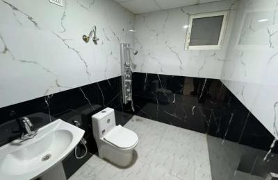 3 BHK SUPER LUXURIOUS FLAT IN CENTER NOIDA SECTOR 110